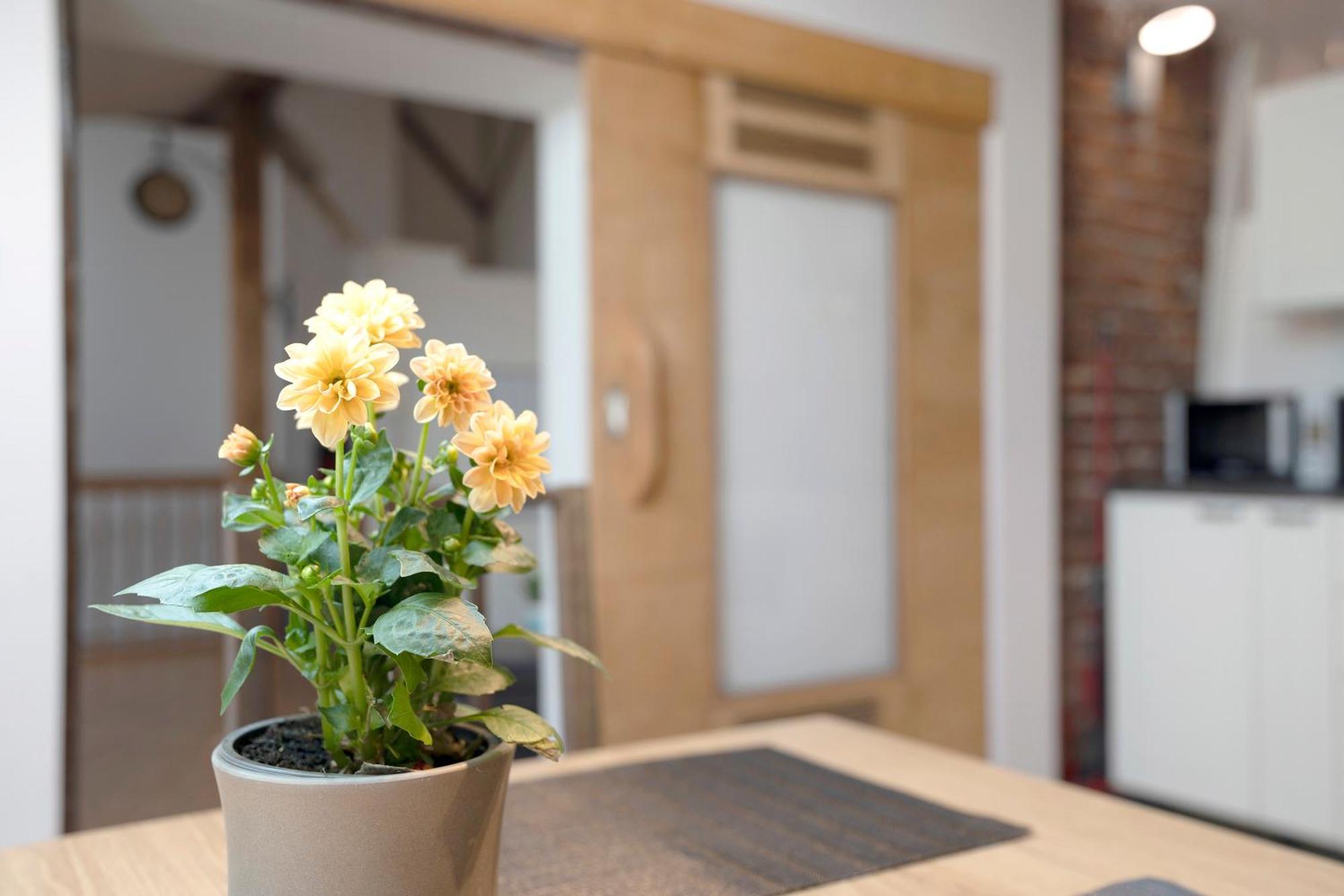 Loft Sven Appartamento Baden-Baden